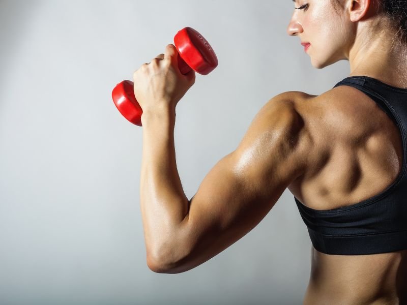 tratamento para obesidade